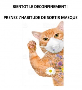 CHAT-MASQUE-
