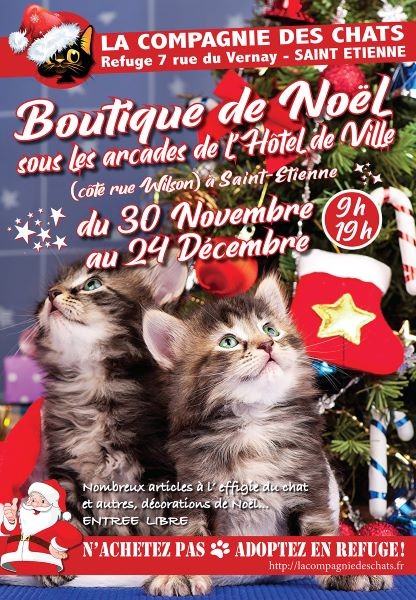 noel-compagnie-chats-2019